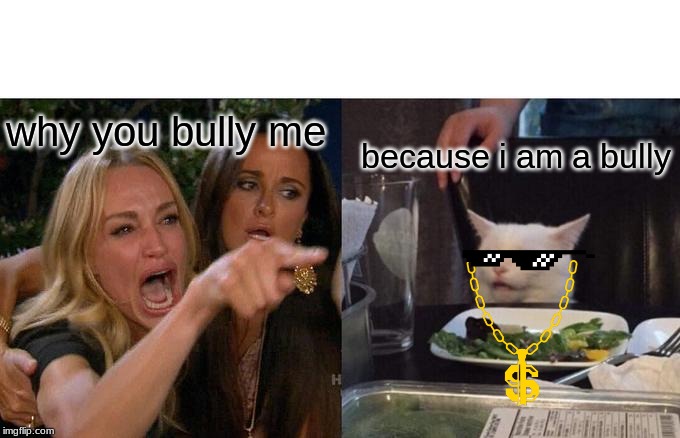 Woman Yelling At Cat Meme | why you bully me; because i am a bully | image tagged in memes,woman yelling at cat | made w/ Imgflip meme maker