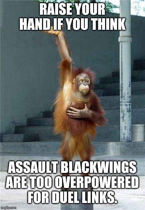 Raise Your Hand | RAISE YOUR HAND IF YOU THINK; ASSAULT BLACKWINGS ARE TOO OVERPOWERED FOR DUEL LINKS. | image tagged in raise your hand | made w/ Imgflip meme maker