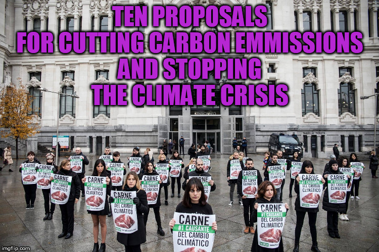 Ten Proposals for Cutting Carbon Emmissions | TEN PROPOSALS FOR CUTTING CARBON EMMISSIONS
AND STOPPING THE CLIMATE CRISIS | image tagged in climate change | made w/ Imgflip meme maker