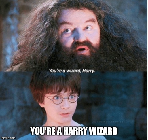 Burn | YOU'RE A HARRY WIZARD | image tagged in harry potter | made w/ Imgflip meme maker