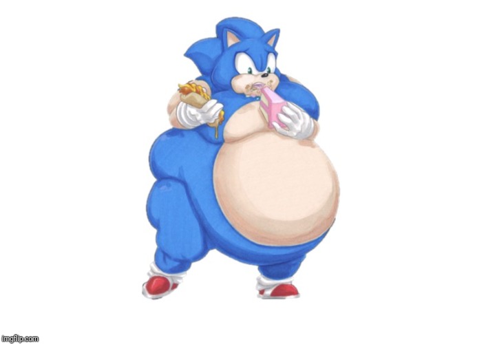 fat sonic | image tagged in fat sonic | made w/ Imgflip meme maker