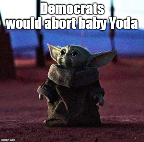 Baby Yoda | Democrats would abort baby Yoda | image tagged in baby yoda | made w/ Imgflip meme maker
