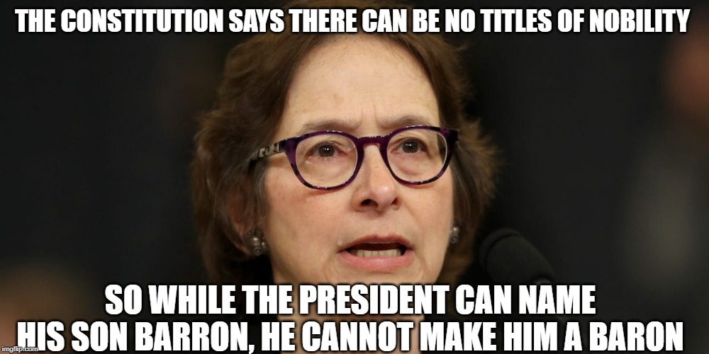 THE CONSTITUTION SAYS THERE CAN BE NO TITLES OF NOBILITY; SO WHILE THE PRESIDENT CAN NAME HIS SON BARRON, HE CANNOT MAKE HIM A BARON | image tagged in politics | made w/ Imgflip meme maker