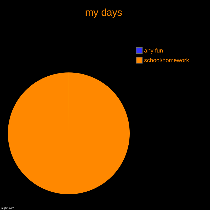 my days | school/homework, any fun | image tagged in charts,pie charts | made w/ Imgflip chart maker