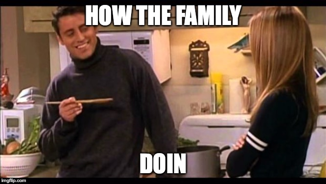 How y'all doin | HOW THE FAMILY; DOIN | image tagged in how you doin | made w/ Imgflip meme maker