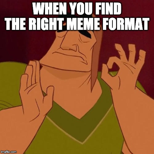 When X just right | WHEN YOU FIND THE RIGHT MEME FORMAT | image tagged in when x just right | made w/ Imgflip meme maker