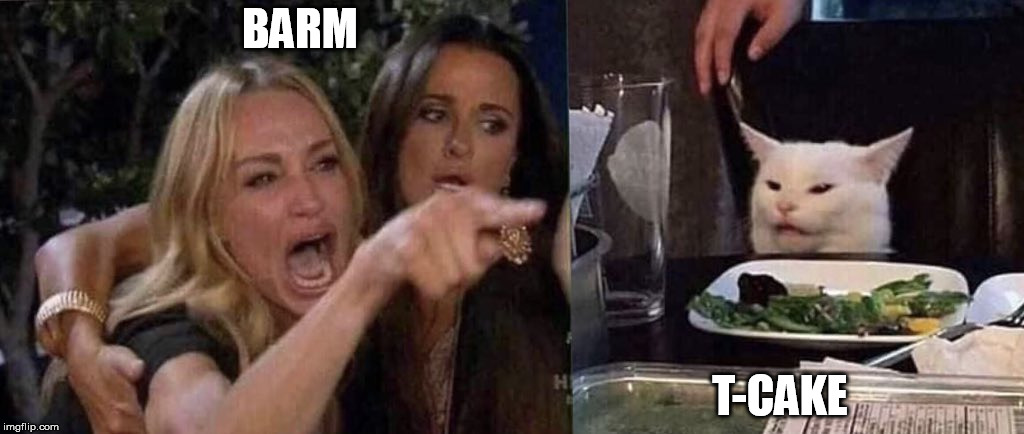 woman yelling at cat | BARM; T-CAKE | image tagged in woman yelling at cat | made w/ Imgflip meme maker