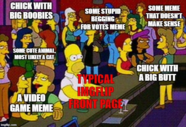 A Day in the Life of the IMGFLIP Frontpage | SOME MEME THAT DOESN'T MAKE SENSE; CHICK WITH BIG BOOBIES; SOME STUPID BEGGING FOR VOTES MEME; SOME CUTE ANIMAL, MOST LIKELY A CAT; TYPICAL IMGFLIP FRONT PAGE; CHICK WITH A BIG BUTT; A VIDEO GAME MEME | image tagged in homer bar | made w/ Imgflip meme maker