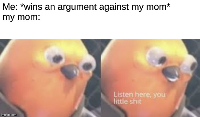 Listen here you little shit bird | Me: *wins an argument against my mom*
my mom: | image tagged in listen here you little shit bird | made w/ Imgflip meme maker