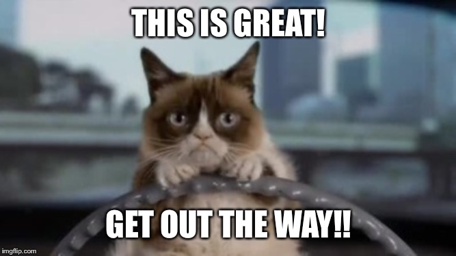 Grumpy cat driving | THIS IS GREAT! GET OUT THE WAY!! | image tagged in grumpy cat driving | made w/ Imgflip meme maker