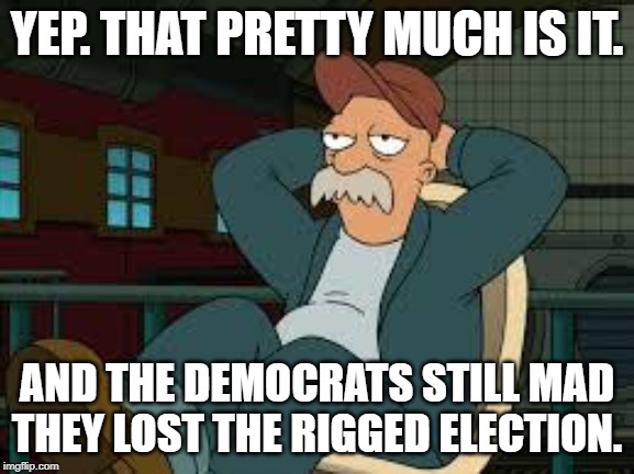 yep futurama | YEP. THAT PRETTY MUCH IS IT. AND THE DEMOCRATS STILL MAD THEY LOST THE RIGGED ELECTION. | image tagged in yep futurama | made w/ Imgflip meme maker