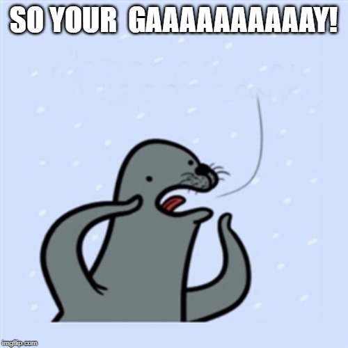 gay seal | SO YOUR  GAAAAAAAAAAY! | image tagged in gay seal | made w/ Imgflip meme maker