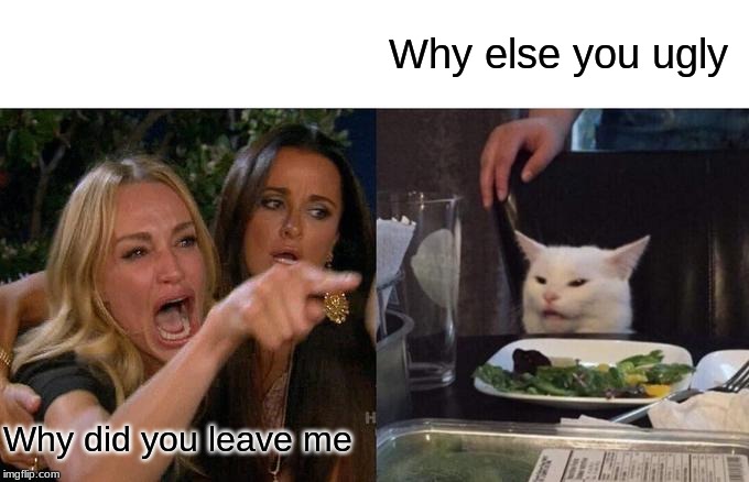 Woman Yelling At Cat | Why else you ugly; Why did you leave me | image tagged in memes,woman yelling at cat | made w/ Imgflip meme maker