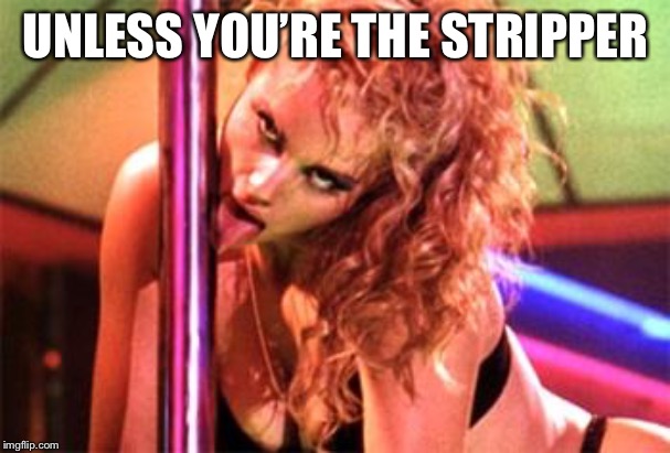 Stripper Pole | UNLESS YOU’RE THE STRIPPER | image tagged in stripper pole | made w/ Imgflip meme maker