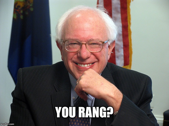 Bernie Sanders | YOU RANG? | image tagged in bernie sanders | made w/ Imgflip meme maker