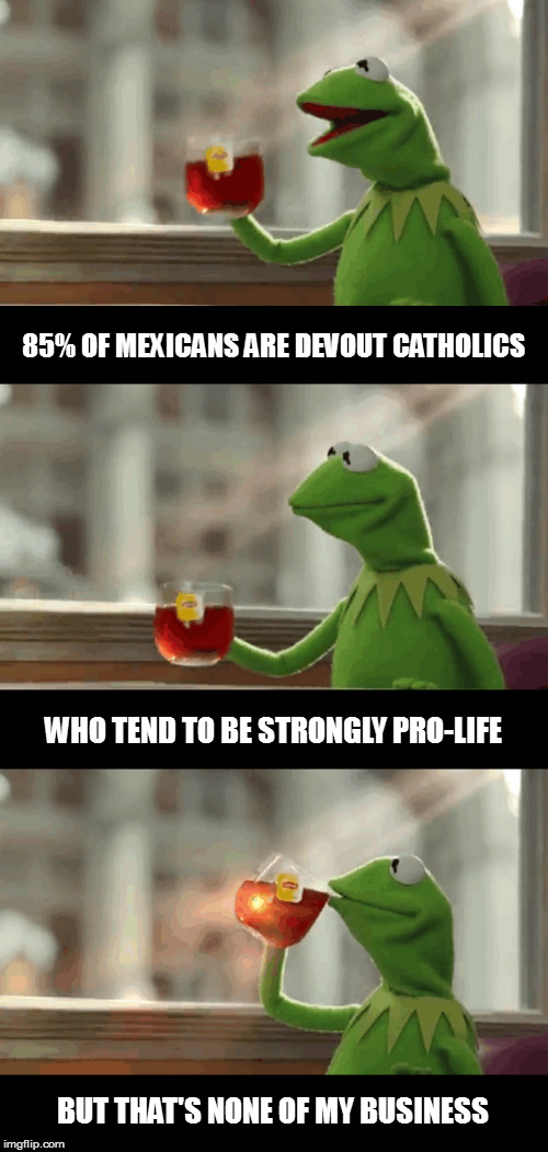 The left isn't great at thinking long-term | 85% OF MEXICANS ARE DEVOUT CATHOLICS; WHO TEND TO BE STRONGLY PRO-LIFE; BUT THAT'S NONE OF MY BUSINESS | image tagged in but that's none of my business extended,memes,politics | made w/ Imgflip meme maker