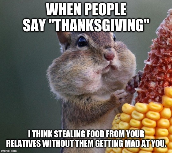 Thanksgiving Squirrel | WHEN PEOPLE SAY "THANKSGIVING"; I THINK STEALING FOOD FROM YOUR RELATIVES WITHOUT THEM GETTING MAD AT YOU. | image tagged in thanksgiving squirrel | made w/ Imgflip meme maker
