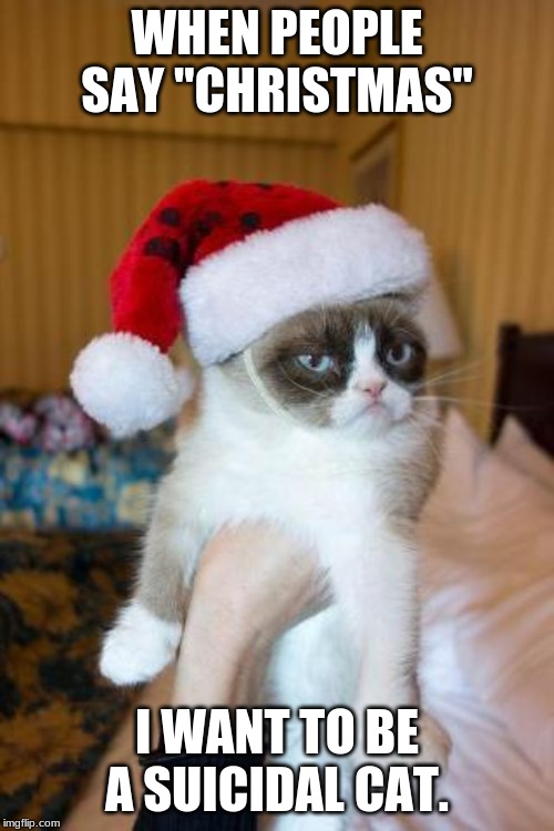 Grumpy Cat Christmas | WHEN PEOPLE SAY "CHRISTMAS"; I WANT TO BE A SUICIDAL CAT. | image tagged in memes,grumpy cat christmas,grumpy cat | made w/ Imgflip meme maker