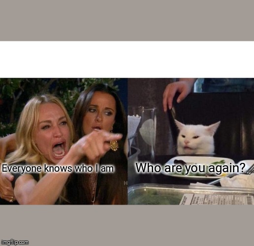 Woman Yelling At Cat | Who are you again? Everyone knows who I am | image tagged in memes,woman yelling at cat | made w/ Imgflip meme maker