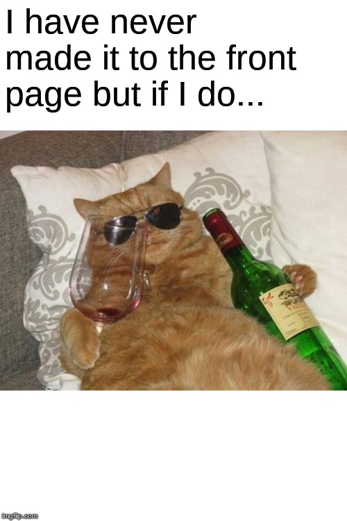 Funny Cat Birthday | I have never made it to the front page but if I do... | image tagged in funny cat birthday | made w/ Imgflip meme maker
