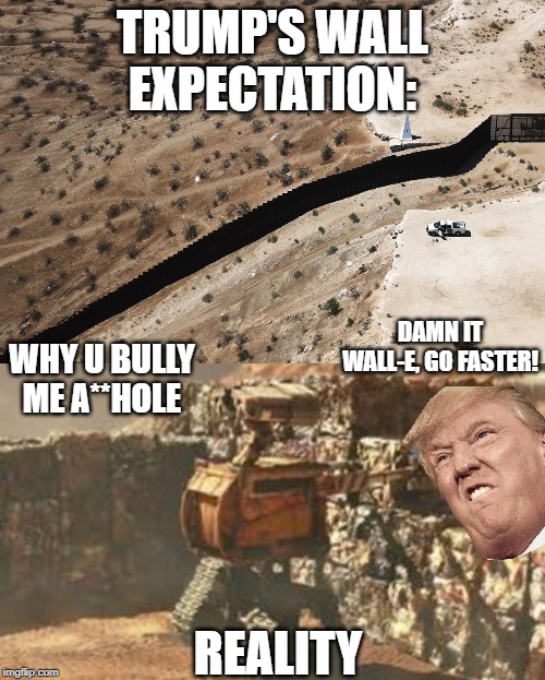TRUMP'S WALL EXPECTATION:; DAMN IT WALL-E, GO FASTER! WHY U BULLY ME A**HOLE; REALITY | image tagged in wall-e building a wall | made w/ Imgflip meme maker