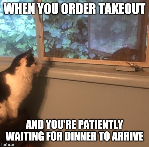 Cat and mouse | WHEN YOU ORDER TAKEOUT; AND YOU'RE PATIENTLY WAITING FOR DINNER TO ARRIVE | image tagged in cat and mouse | made w/ Imgflip meme maker