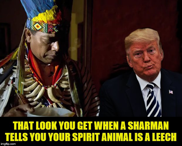 A complicated man... | THAT LOOK YOU GET WHEN A SHARMAN TELLS YOU YOUR SPIRIT ANIMAL IS A LEECH | image tagged in donald trump,impeach trump,trump is a moron,crooked | made w/ Imgflip meme maker