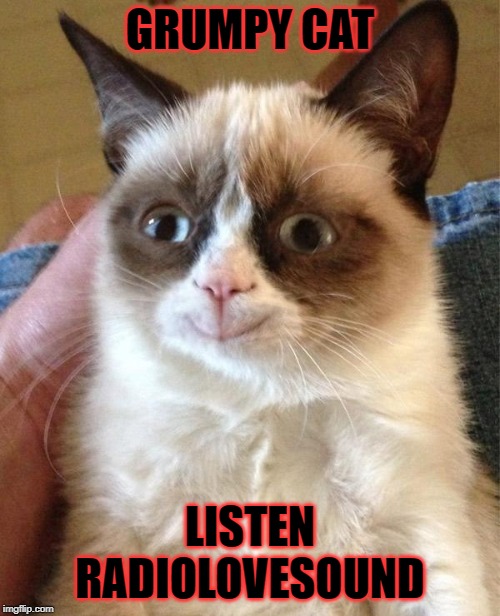 Grumpy Cat Happy | GRUMPY CAT; LISTEN RADIOLOVESOUND | image tagged in memes,grumpy cat happy,grumpy cat | made w/ Imgflip meme maker