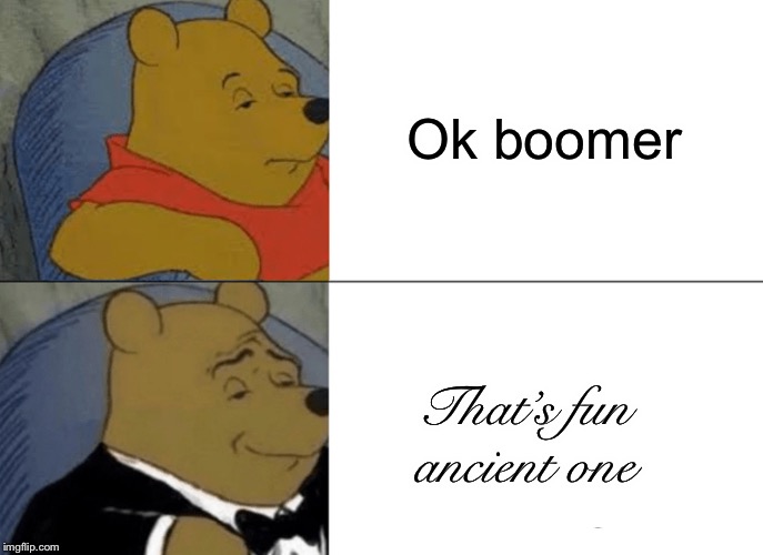 Ok Boomer | Ok boomer; That’s fun ancient one | image tagged in memes,tuxedo winnie the pooh | made w/ Imgflip meme maker