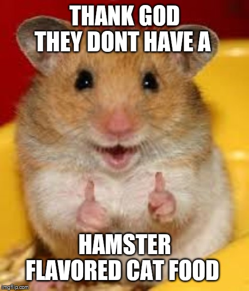 THANK GOD THEY DONT HAVE A HAMSTER FLAVORED CAT FOOD | image tagged in thumbs up hamster | made w/ Imgflip meme maker
