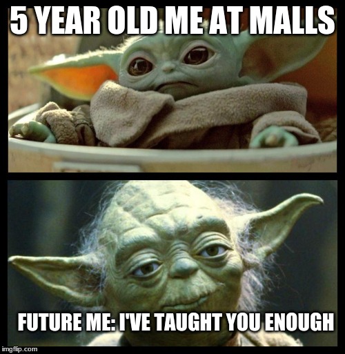 baby yoda | 5 YEAR OLD ME AT MALLS; FUTURE ME: I'VE TAUGHT YOU ENOUGH | image tagged in baby yoda | made w/ Imgflip meme maker