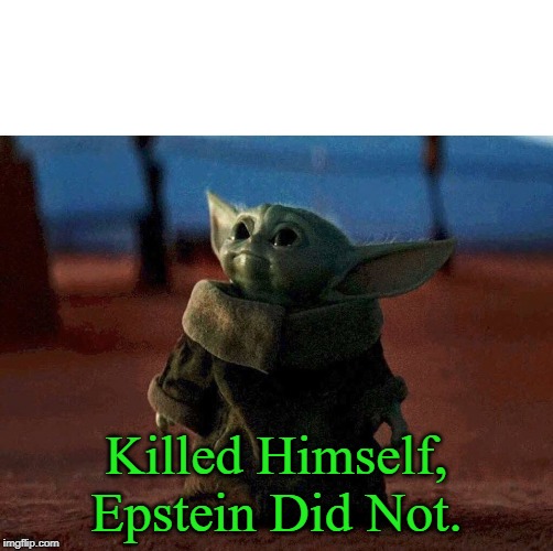baby yoda | Killed Himself, Epstein Did Not. | image tagged in baby yoda,jeffrey epstein,memes | made w/ Imgflip meme maker