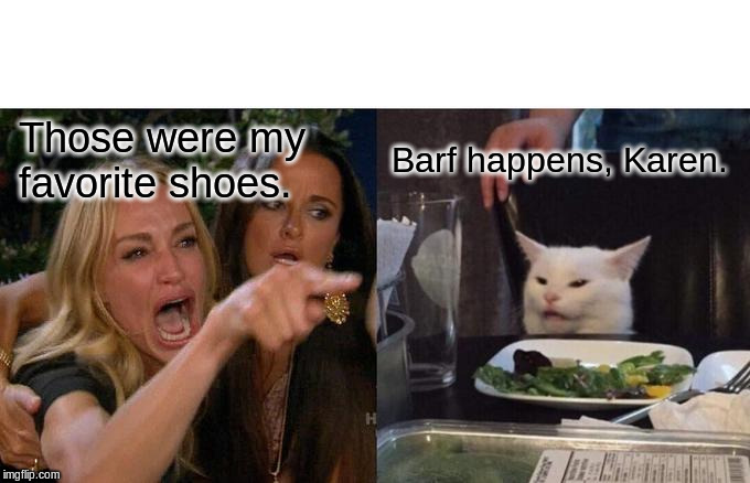 Woman Yelling At Cat Meme | Those were my favorite shoes. Barf happens, Karen. | image tagged in memes,woman yelling at cat | made w/ Imgflip meme maker