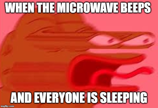 Never wish this on your worst enemy | WHEN THE MICROWAVE BEEPS; AND EVERYONE IS SLEEPING | image tagged in funny | made w/ Imgflip meme maker