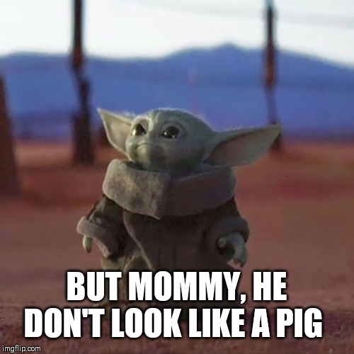 Baby Yoda | BUT MOMMY, HE DON'T LOOK LIKE A PIG | image tagged in baby yoda | made w/ Imgflip meme maker