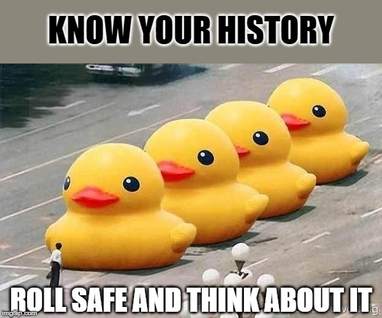 Ducks Tiananmen Square | KNOW YOUR HISTORY; ROLL SAFE AND THINK ABOUT IT | image tagged in ducks tiananmen square | made w/ Imgflip meme maker