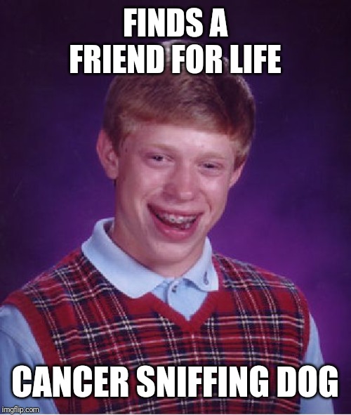 Bad Luck Brian Meme | FINDS A FRIEND FOR LIFE; CANCER SNIFFING DOG | image tagged in memes,bad luck brian | made w/ Imgflip meme maker