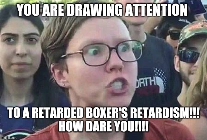 Triggered Liberal | YOU ARE DRAWING ATTENTION TO A RETARDED BOXER'S RETARDISM!!!
HOW DARE YOU!!!! | image tagged in triggered liberal | made w/ Imgflip meme maker