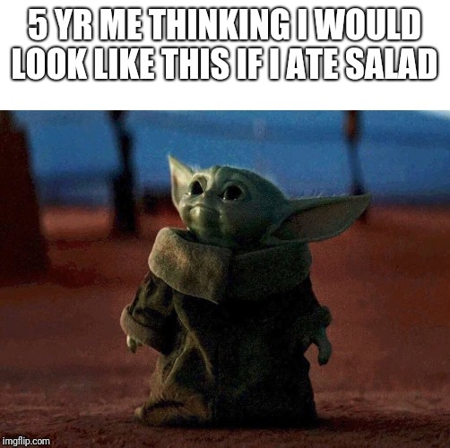 baby yoda | 5 YR ME THINKING I WOULD LOOK LIKE THIS IF I ATE SALAD | image tagged in baby yoda | made w/ Imgflip meme maker