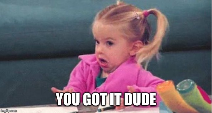 YOU GOT IT DUDE | image tagged in full house michelle tanner | made w/ Imgflip meme maker