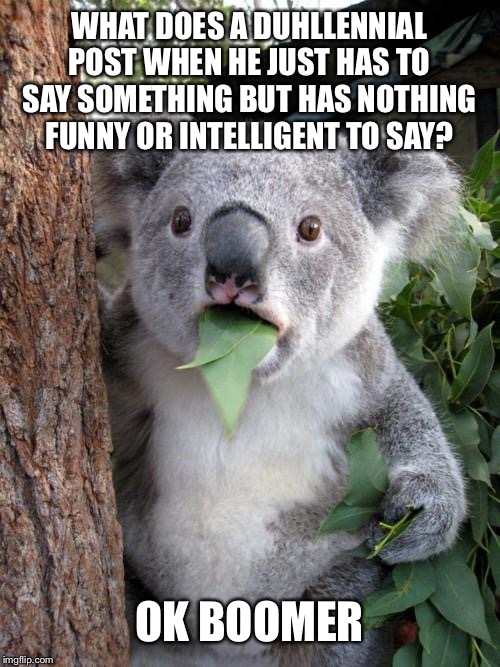 Surprised Koala | WHAT DOES A DUHLLENNIAL POST WHEN HE JUST HAS TO SAY SOMETHING BUT HAS NOTHING FUNNY OR INTELLIGENT TO SAY? OK BOOMER | image tagged in memes,surprised koala,ok boomer,millennials,imgflip trends | made w/ Imgflip meme maker
