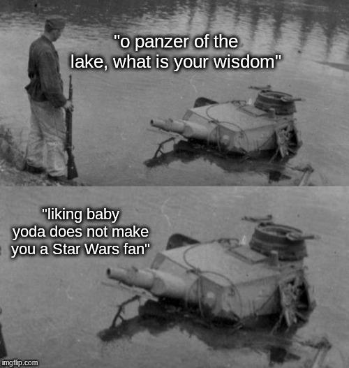 Panzer of the lake | "o panzer of the lake, what is your wisdom"; "liking baby yoda does not make you a Star Wars fan" | image tagged in panzer of the lake,dank memes,star wars | made w/ Imgflip meme maker