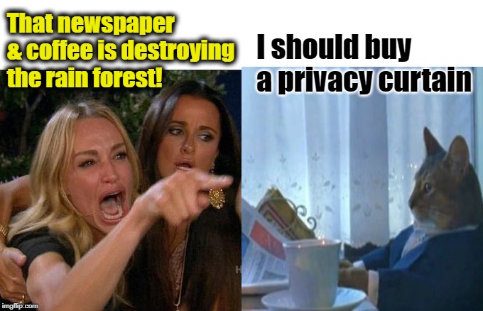 Quit bothering people | That newspaper & coffee is destroying the rain forest! I should buy a privacy curtain | image tagged in woman yelling at cat,i should buy a boat cat,funny memes | made w/ Imgflip meme maker