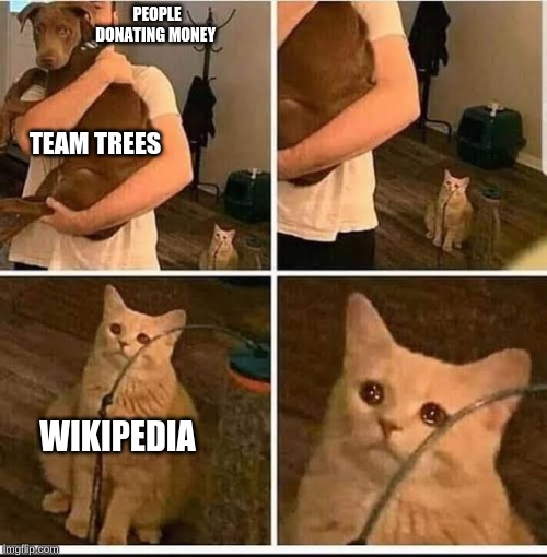 wikipedia needs donations too | PEOPLE DONATING MONEY; TEAM TREES; WIKIPEDIA | image tagged in memes,wikipedia,team trees,sad cat | made w/ Imgflip meme maker