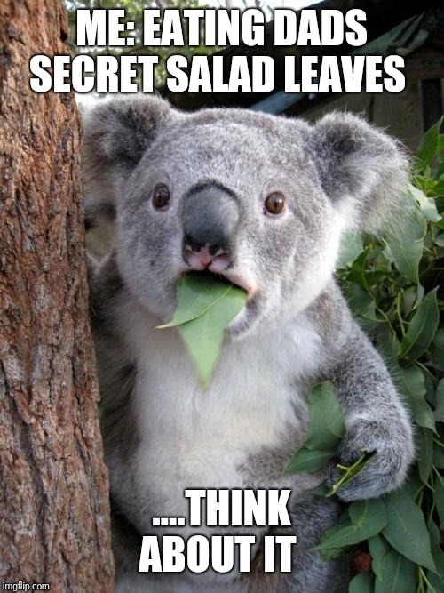 Surprised Koala Meme | ME: EATING DADS SECRET SALAD LEAVES; ....THINK ABOUT IT | image tagged in memes,surprised koala | made w/ Imgflip meme maker