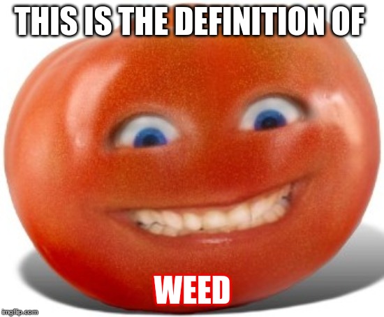Tomato | THIS IS THE DEFINITION OF; WEED | image tagged in tomato | made w/ Imgflip meme maker
