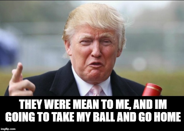 Total joke. sad. | THEY WERE MEAN TO ME, AND IM GOING TO TAKE MY BALL AND GO HOME | image tagged in donald trump crying,impeach trump,maga,crybaby,snowflake,politics | made w/ Imgflip meme maker