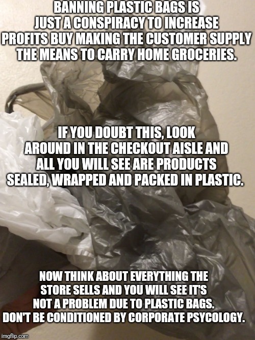RIP cheap plastic bags | BANNING PLASTIC BAGS IS JUST A CONSPIRACY TO INCREASE PROFITS BUY MAKING THE CUSTOMER SUPPLY THE MEANS TO CARRY HOME GROCERIES. IF YOU DOUBT THIS, LOOK AROUND IN THE CHECKOUT AISLE AND ALL YOU WILL SEE ARE PRODUCTS SEALED, WRAPPED AND PACKED IN PLASTIC. NOW THINK ABOUT EVERYTHING THE STORE SELLS AND YOU WILL SEE IT'S NOT A PROBLEM DUE TO PLASTIC BAGS. DON'T BE CONDITIONED BY CORPORATE PSYCOLOGY. | image tagged in rip cheap plastic bags | made w/ Imgflip meme maker