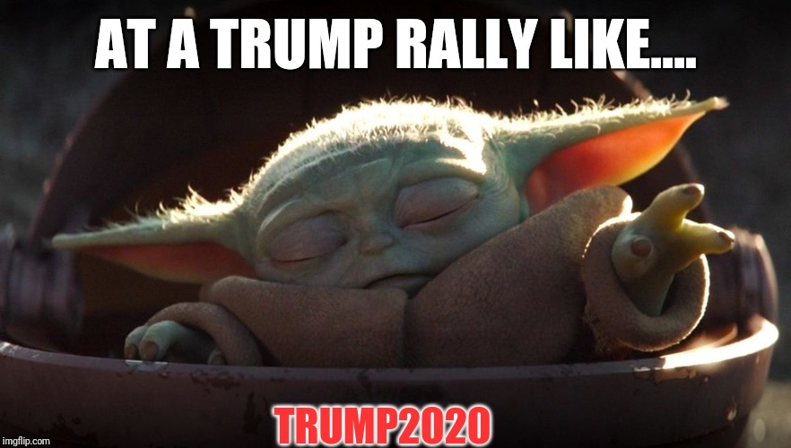 Feelin' The Force | AT A TRUMP RALLY LIKE.... TRUMP2020 | image tagged in feelin' the force | made w/ Imgflip meme maker