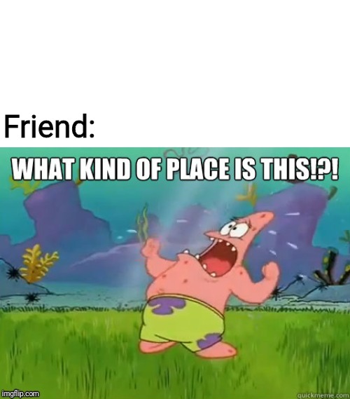 What kind of place is this? | Friend: | image tagged in what kind of place is this | made w/ Imgflip meme maker